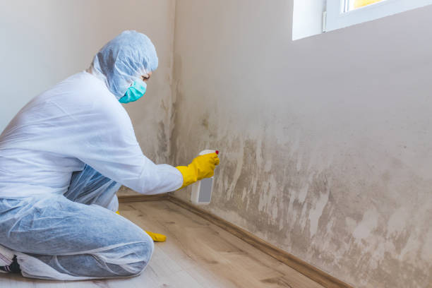 Commercial Mold Remediation assessment for commercial property in Saint James City